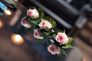 pretty in pink, pink roses and greenery
